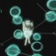 Illustration for article titled The First Film of emGhost in the Shell: Arise/em is True to Its Roots